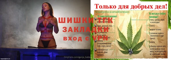 амф Богородск