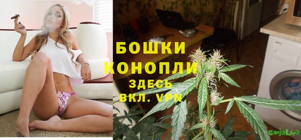 амф Богородск